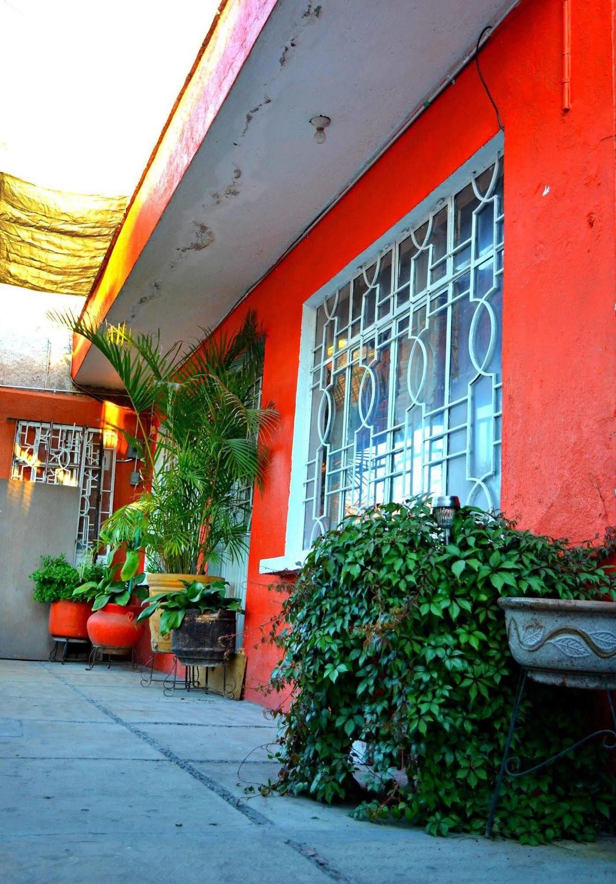 Hostal Maple Queretaro Ngoại thất bức ảnh